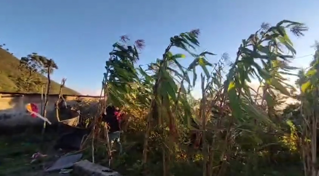Viviendas y plantaciones afectadas tras fuerte viento en sectores de Sigchos y Pangua